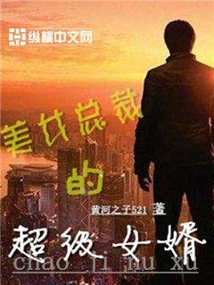《美女总裁的超级女婿》