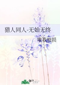 《猎人同人-无始无终》