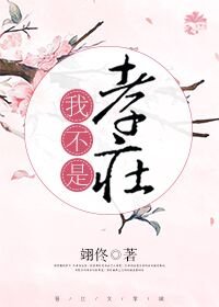 《我不是孝莊》
