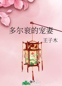 《多尔衮的宠妻》