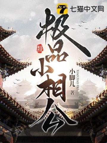《极品小相公》