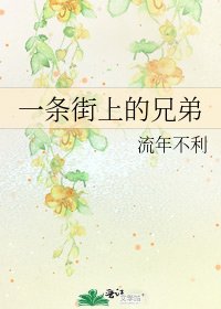 《一條街上的兄弟》