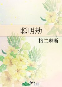 《聪明劫》
