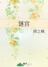 《谜宫》
