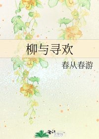 《柳与寻欢》