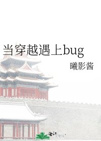 《當穿越遇上bug》