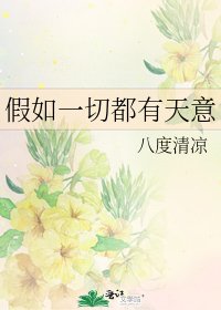 《假如一切都有天意》