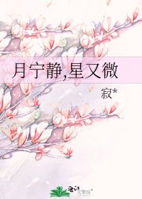 《月寧靜,星又微》