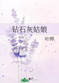 《钻石灰姑娘》