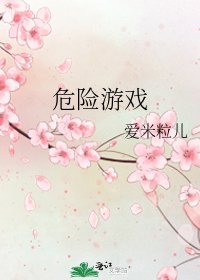 《危险游戏》