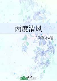 《两度清风》