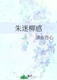 《朱迷柳惑》
