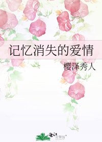 《記憶消失的愛情》