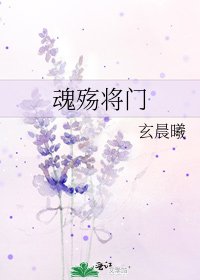 《魂殇将门》
