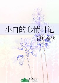小白的心情日记