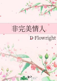 《非完美情人》