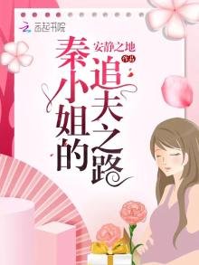 秦小姐的追夫之路