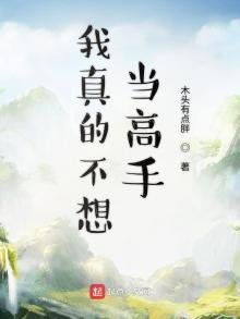 《我真的不想当高手》