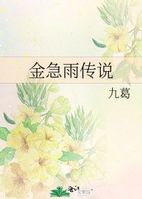《金急雨傳說》