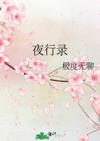 《夜行录》