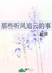 《那些听风追云的事》