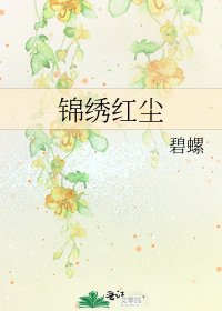 《錦繡紅塵》