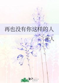 《再也没有你这样的人》