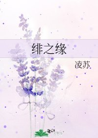绯之缘