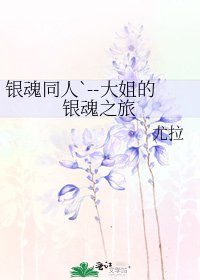 《银魂同人`--大姐的银魂之旅》