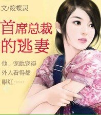 《首席总裁的逃妻》