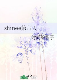 《shinee第六人》