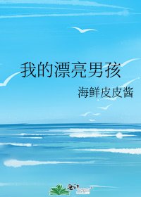 《我的漂亮男孩》