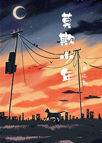 《莫欺少年》