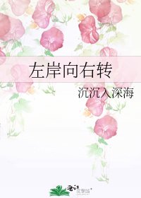 《左岸向右轉》