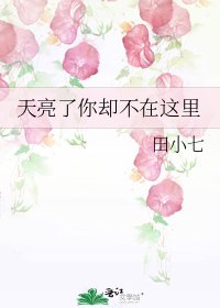 《天亮了你却不在这里》