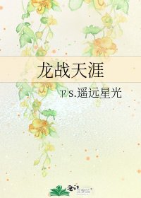 《龙战天涯》