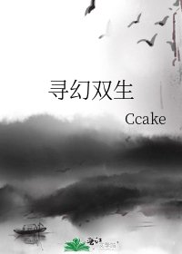 《寻幻双生》