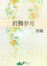 折腾岁月