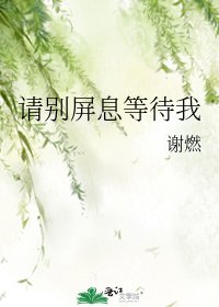 《请别屏息等待我》