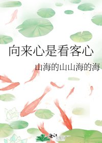 《向来心是看客心》