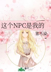 《我和npc恋爱了》