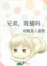《兄弟,吸猫吗》