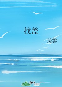 《找盖》
