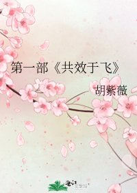 《共效于飞》
