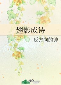 《翅影成诗》