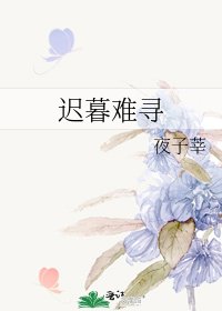 迟暮难寻