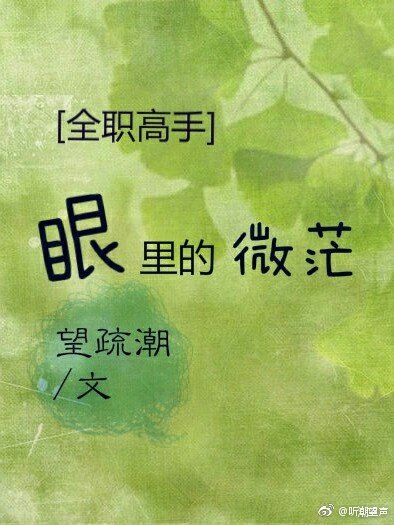[全职高手]眼里的微茫