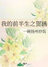 《我的前半生之贺涵》
