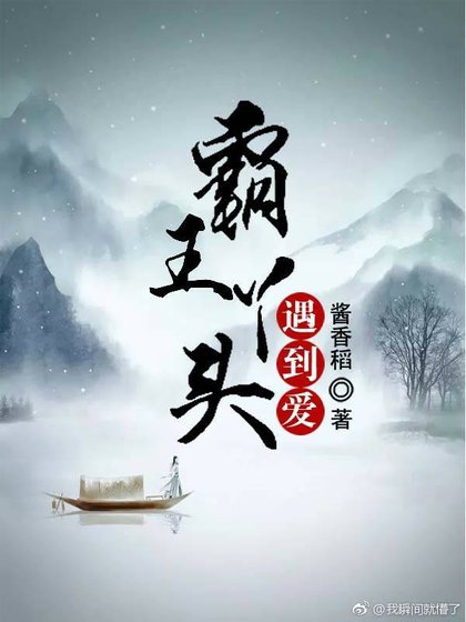 《霸王丫頭遇到愛》