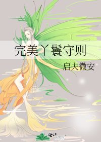 《完美丫鬟守则》